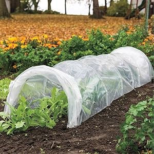 Clear polythene sheeting laid as ground cover in a garden landscaping job