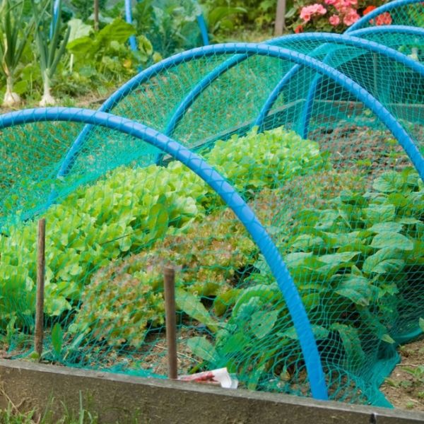 Reliable Anti Bird Netting for Gardens Balconies and Roof Areas